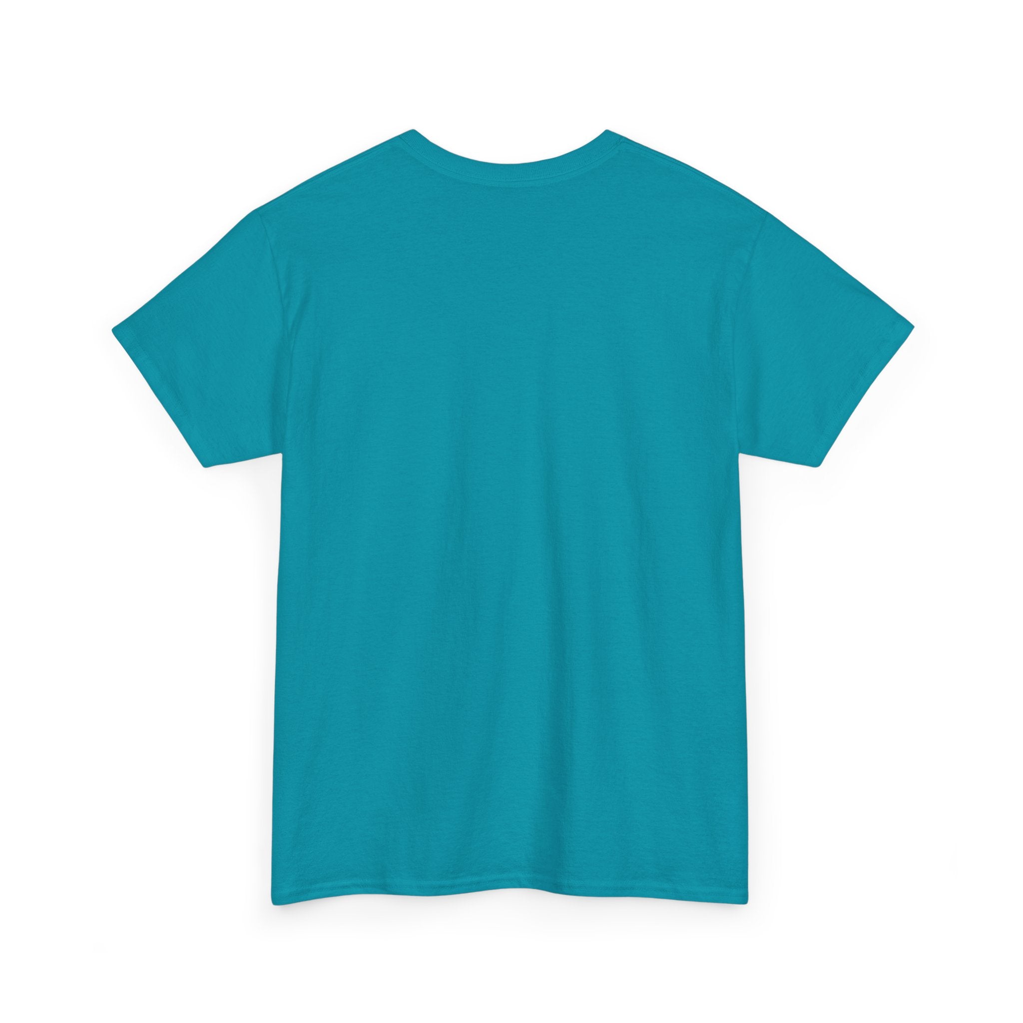 Art Street Rabbit Urban T-shirt (Folio No. 14-The guardian of the alley)