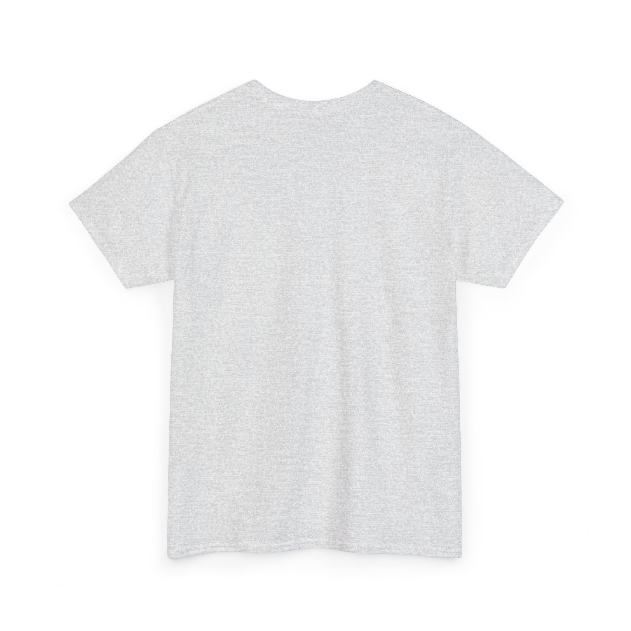 Art Street Rabbit Urban T-shirt (Folio No. 14-The guardian of the alley)