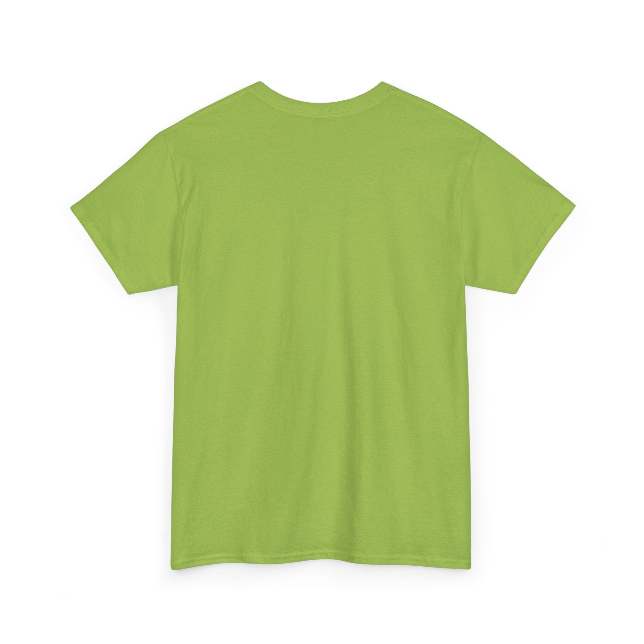 Art Street Rabbit Urban T-shirt (Folio No. 14-The guardian of the alley)