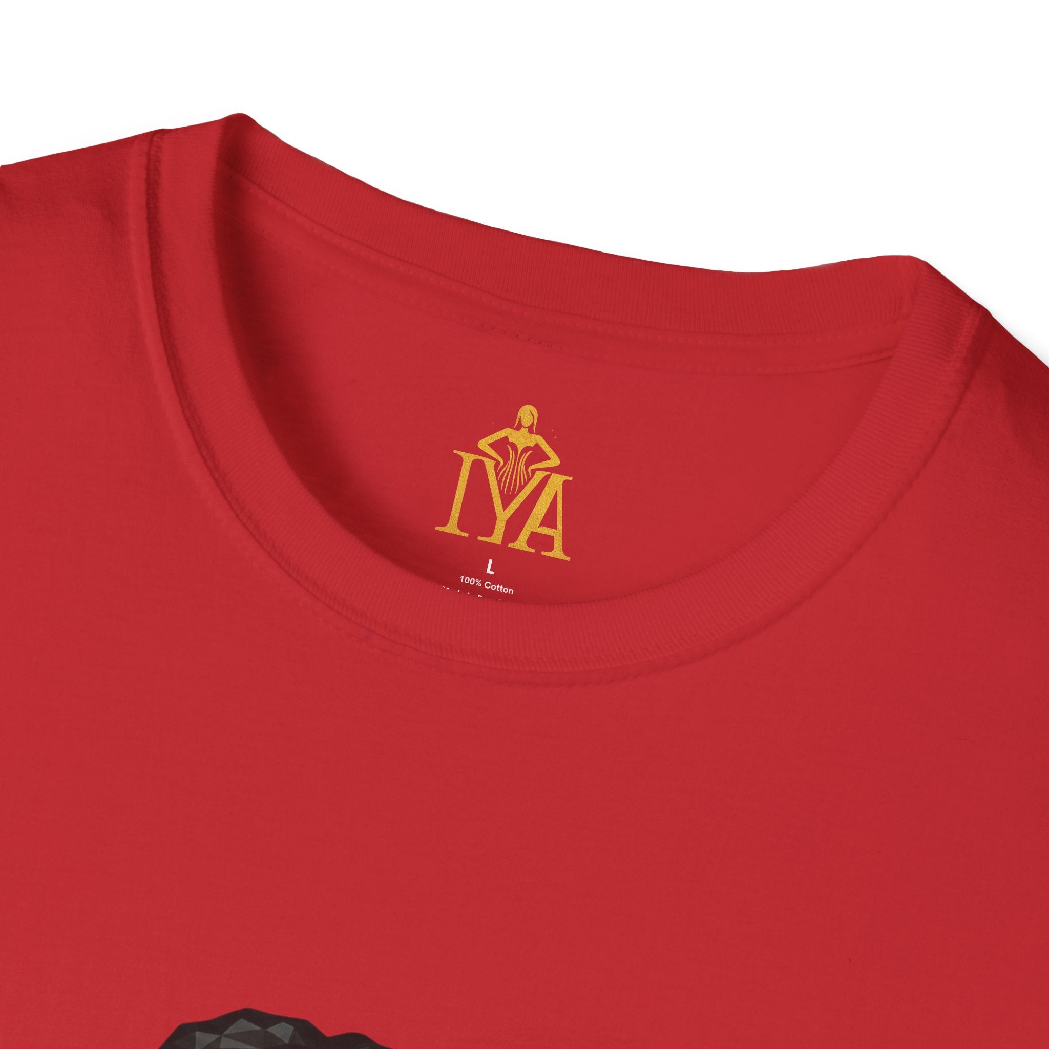 Men's Premium Cotton T-Shirt – Visual Fugue (Baroque Revolt in various colors)