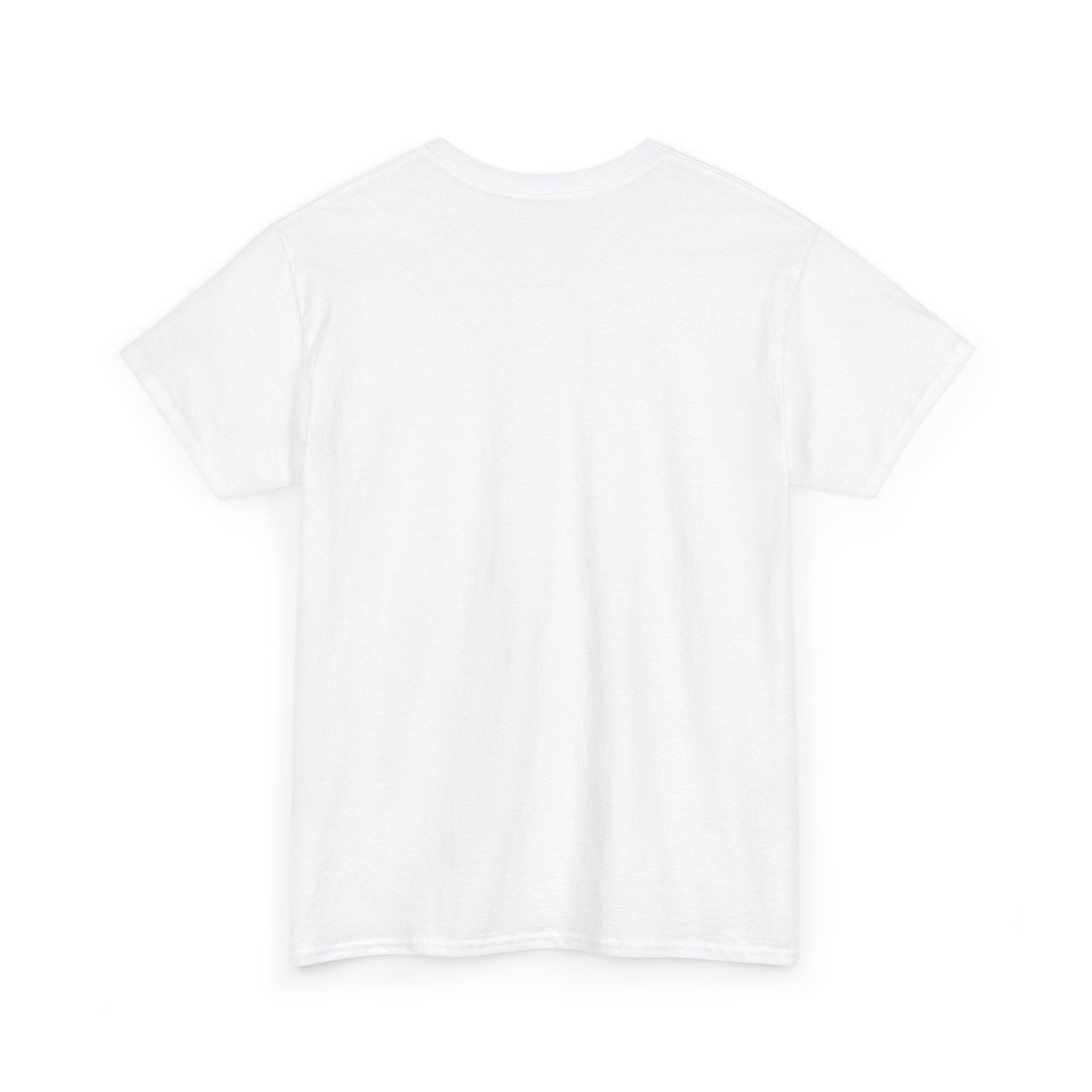 Art Street Rabbit Urban T-shirt (Folio No. 14-The guardian of the alley)