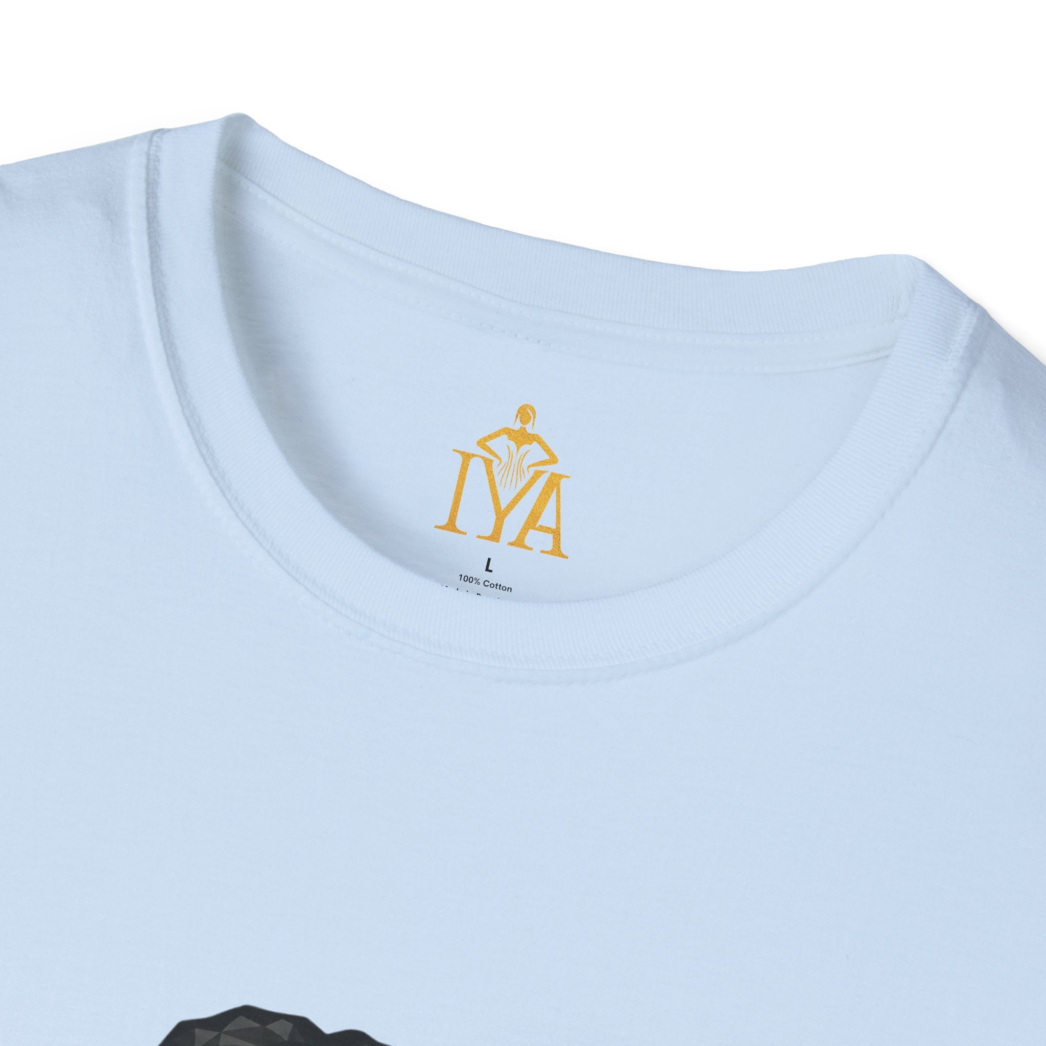 Men's Premium Cotton T-Shirt – Visual Fugue (Baroque Revolt in various colors)